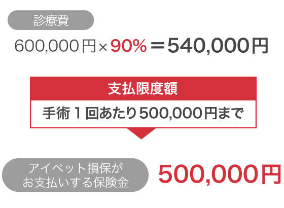 診療費の自己負担金額例